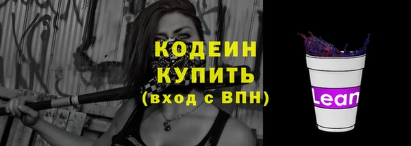 2c-b Горно-Алтайск